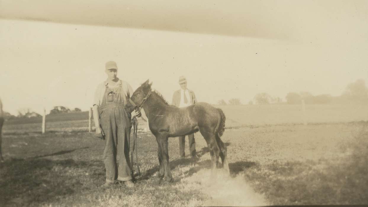 horse, Iowa History, foal, yard, Farms, overalls, percheron, Portraits - Group, history of Iowa, men, Spilman, Jessie Cudworth, USA, Animals, correct date needed, Iowa