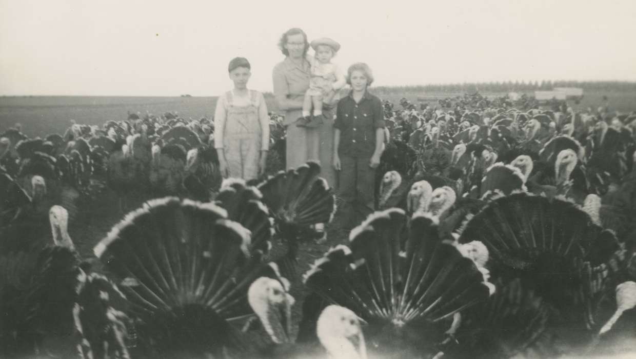 Farms, Children, Wickwire (Uker), Cheryl, Iowa History, mother, toddler, Families, Animals, Iowa, turkey, history of Iowa, USA