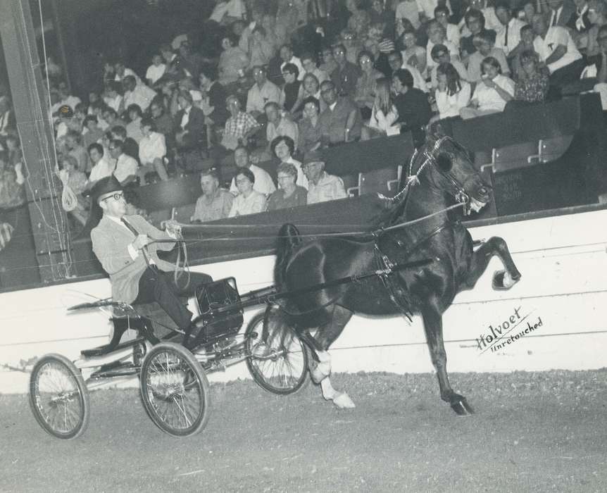 horse and buggy, history, horse, Photos, cattle congress, Black Hawk, IA, ia, Animals, Fairs and Festivals, historic, United States, Grout Museum of History and Science, Waterloo, Iowa, national cattle congress