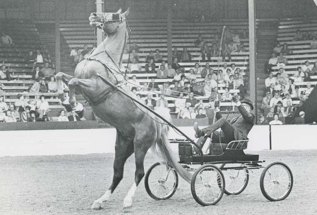 horse and buggy, history, horse, Photos, cattle congress, Black Hawk, IA, ia, Animals, Fairs and Festivals, historic, United States, Grout Museum of History and Science, Waterloo, Iowa, national cattle congress