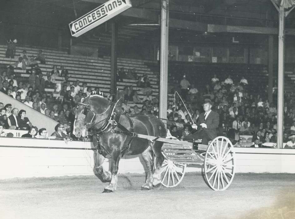 horse and buggy, history, horse, Photos, cattle congress, Black Hawk, IA, ia, Animals, Fairs and Festivals, historic, United States, Grout Museum of History and Science, Waterloo, Iowa, national cattle congress