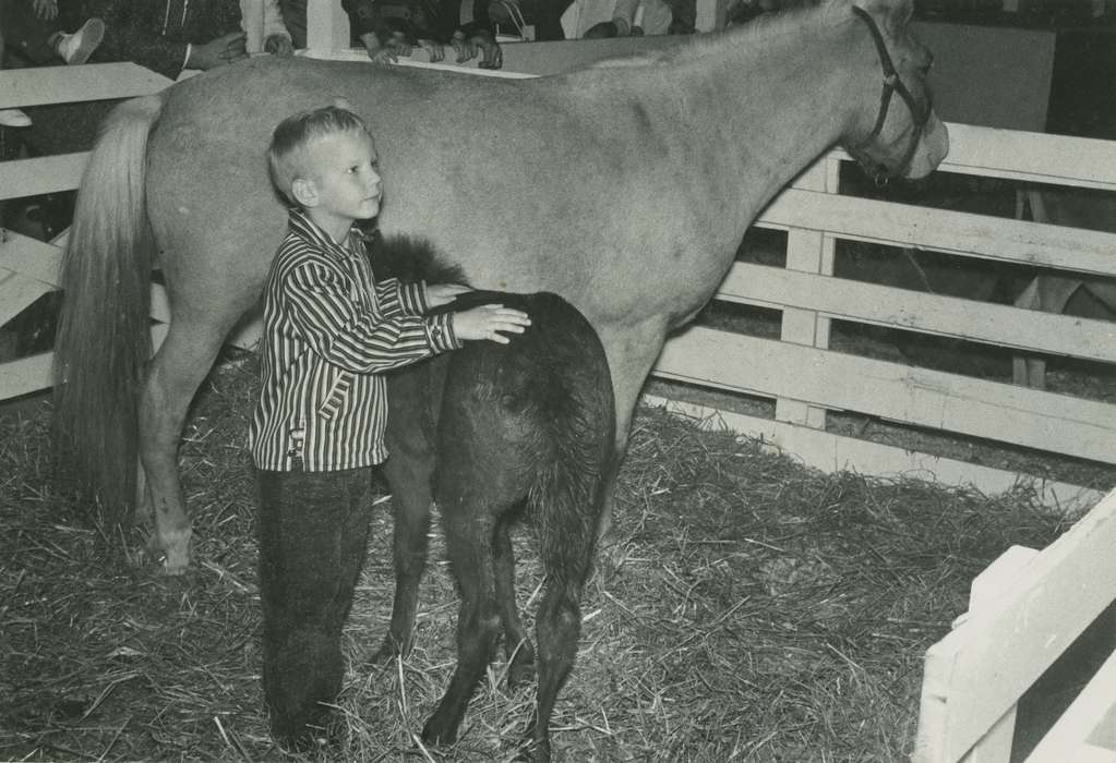 Animals, Photos, history, ia, pony, historic, horse, Iowa, boy, national cattle congress, cattle congress, IA, Black Hawk, Children, Waterloo, Fairs and Festivals, Grout Museum of History and Science, United States