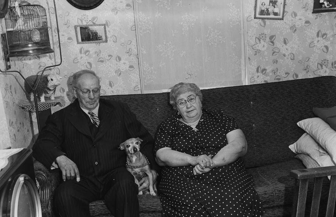 Portraits - Group, Families, Homes, United States, history, ia, Photos, Animals, Coon Rapids Enterprise, historic, Iowa, family photo, IA, dog, Coon Rapids, couple