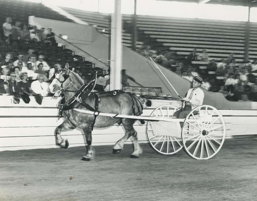 history, sulky, horse, Photos, cattle congress, Black Hawk, IA, ia, Animals, Fairs and Festivals, historic, United States, Grout Museum of History and Science, Waterloo, Iowa, national cattle congress