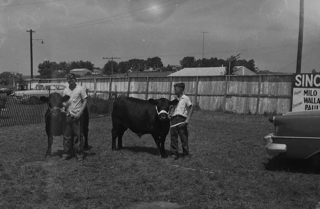 car, Portraits - Group, cows, Iowa, wooden fence, IA, United States, Photos, historic, Motorized Vehicles, Coon Rapids, Fairs and Festivals, history, Animals, boys, Coon Rapids Enterprise, ia