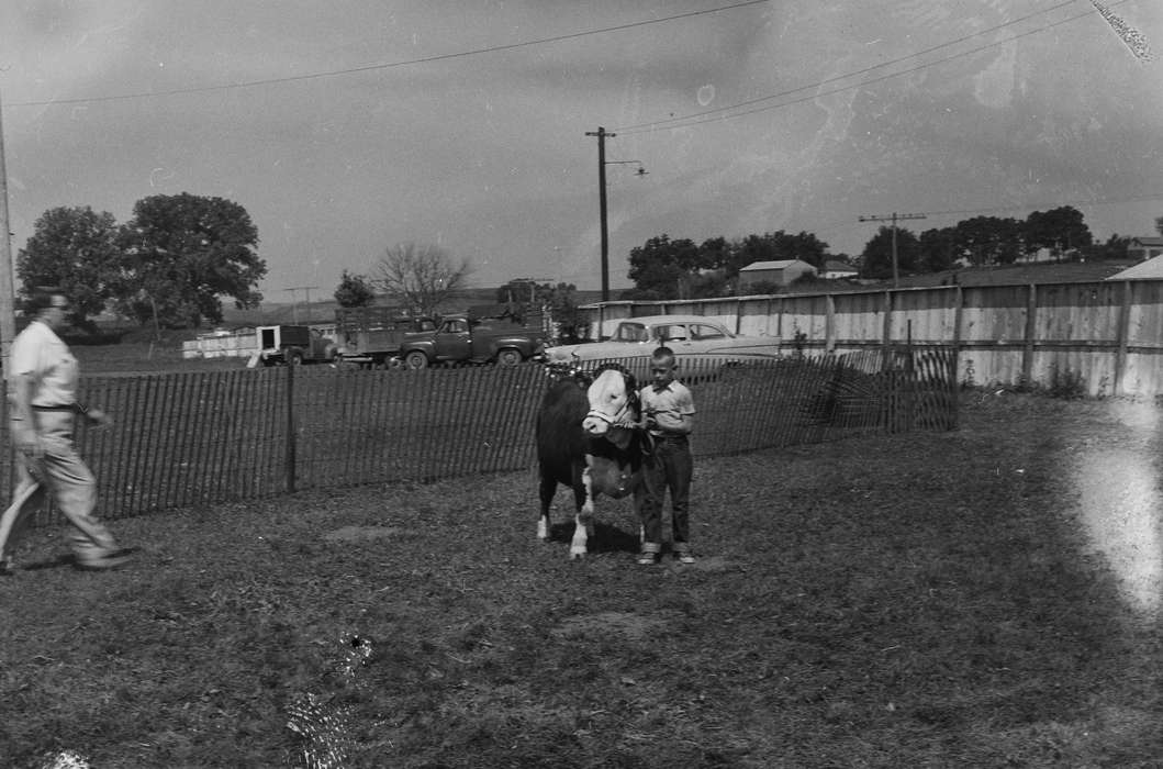 Portraits - Individual, Iowa, IA, United States, Photos, historic, Coon Rapids, Fairs and Festivals, history, adult man, Animals, ia, Coon Rapids Enterprise, cow, Children, young boy, blur