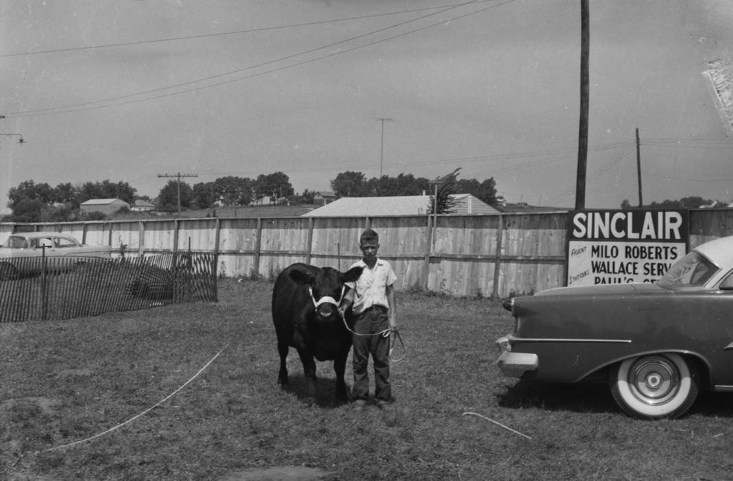car, IA, historic, Motorized Vehicles, Coon Rapids, Fairs and Festivals, Animals, cow, Portraits - Individual, Iowa, wooden fence, United States, Photos, boy, history, ia, Coon Rapids Enterprise, Children