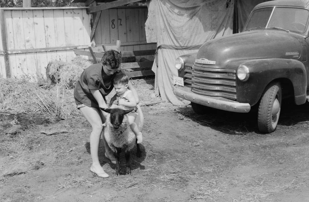 Portraits - Group, United States, history, ia, Photos, Children, Coon Rapids Enterprise, sheep, Animals, historic, Iowa, IA, Coon Rapids