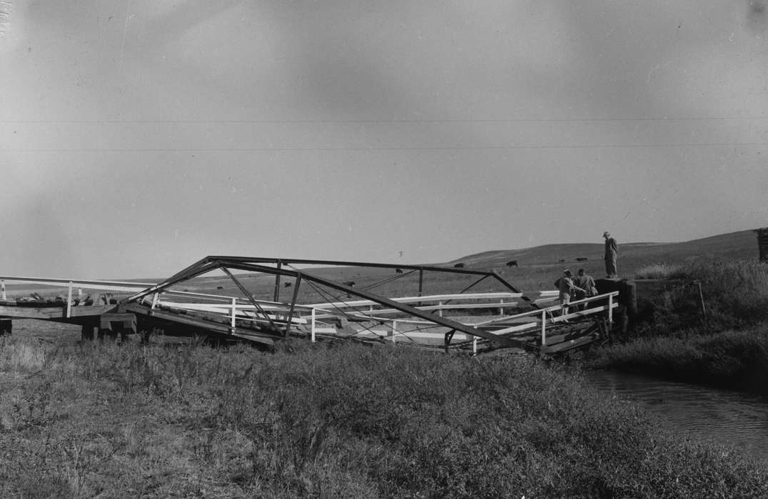 United States, history, ia, bridge collapse, Photos, farmland, Coon Rapids Enterprise, historic, Landscapes, Iowa, creek, cows, rural, IA, Coon Rapids, Farms, Wrecks