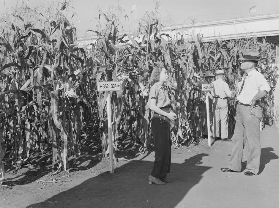 Farms, Iowa History, Iowa, hat, Fairs and Festivals, Library of Congress, history of Iowa, corn, dirt, crops, fashion