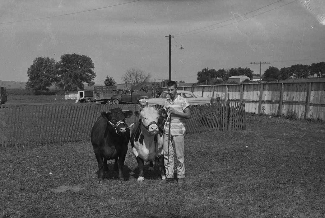 Portraits - Individual, cows, Iowa, boys, stripes, IA, United States, Photos, historic, Coon Rapids, Fairs and Festivals, history, Animals, cars, Coon Rapids Enterprise, ia, Children