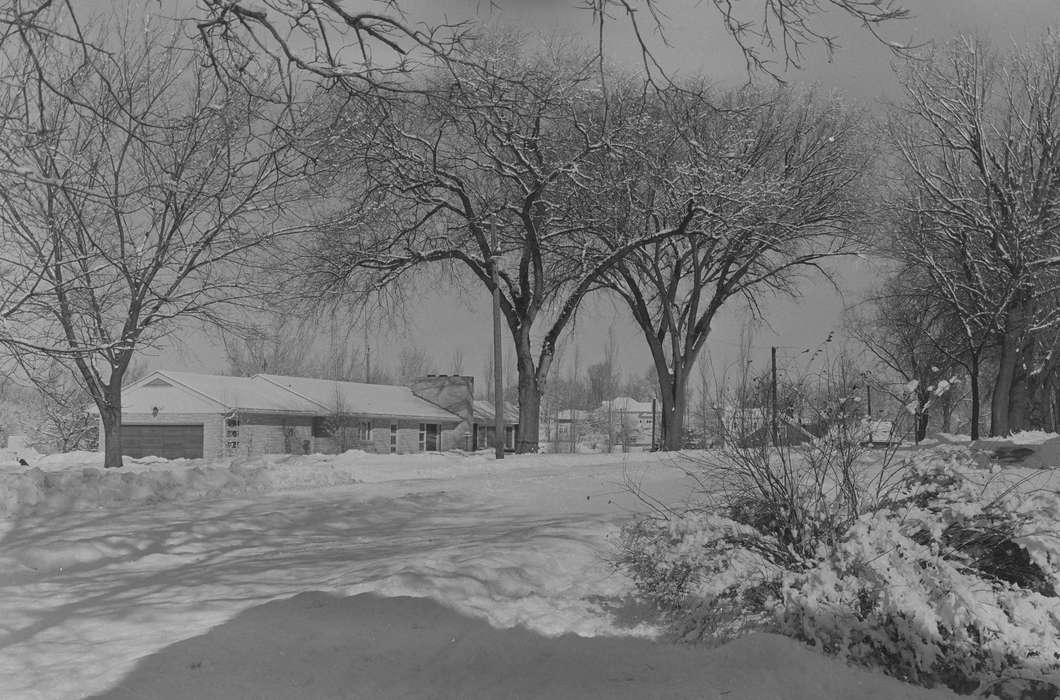United States, history, ia, Photos, Winter, snow, Coon Rapids Enterprise, historic, Landscapes, Iowa, IA, Coon Rapids, tree