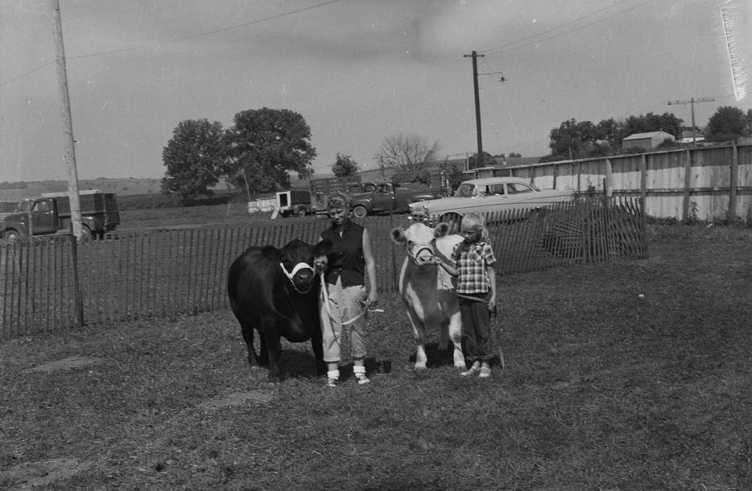 car, Portraits - Group, cows, Iowa, IA, United States, Photos, historic, Coon Rapids, Fairs and Festivals, girls, history, Animals, ia, Coon Rapids Enterprise, Children