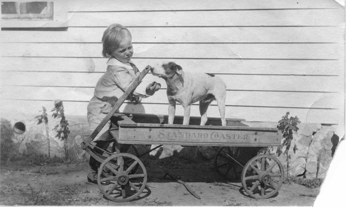 Animals, Children, dog, history of Iowa, Carroll, IA, Heuton, Paul H., wagon, Iowa History, Iowa