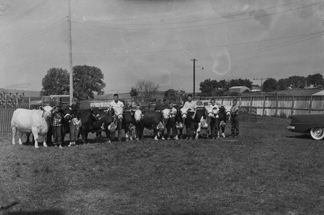 car, Portraits - Group, large group picture, IA, historic, Motorized Vehicles, Coon Rapids, Fairs and Festivals, Animals, boys, cows, Iowa, United States, Photos, girls, history, ia, Coon Rapids Enterprise, Children