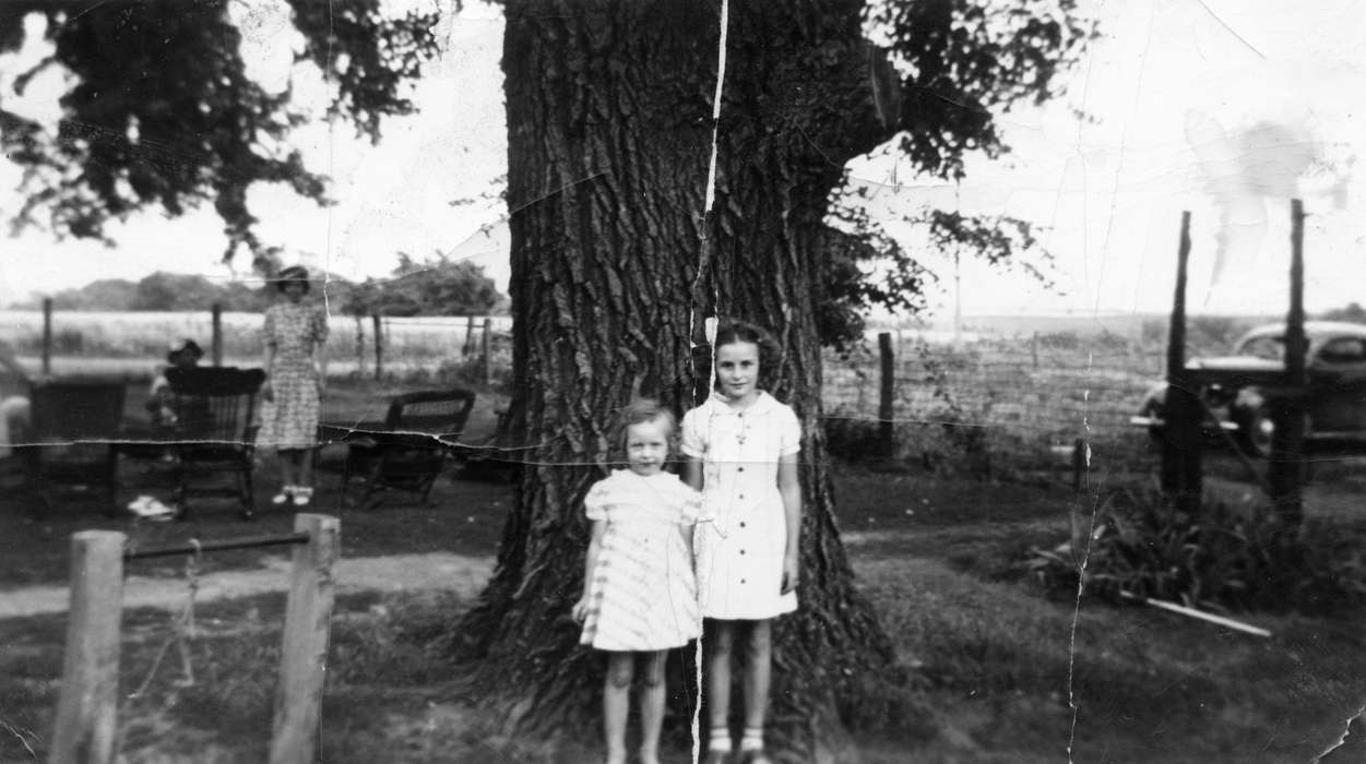 tree, Iowa, Portraits - Group, Iowa History, history of Iowa, Boehm, Pam, Farms, Children, Monroe, IA