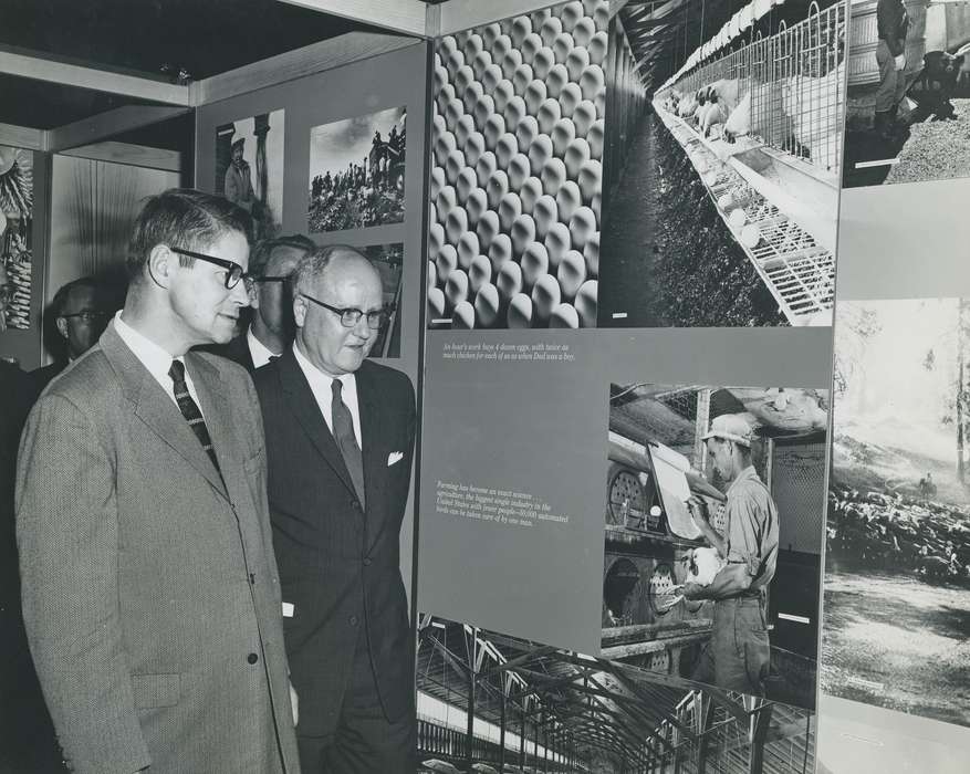 national cattle congress, Animals, cattle congress, Photos, history, ia, IA, historic, Businesses and Factories, Black Hawk, Iowa, Waterloo, Fairs and Festivals, Grout Museum of History and Science, United States