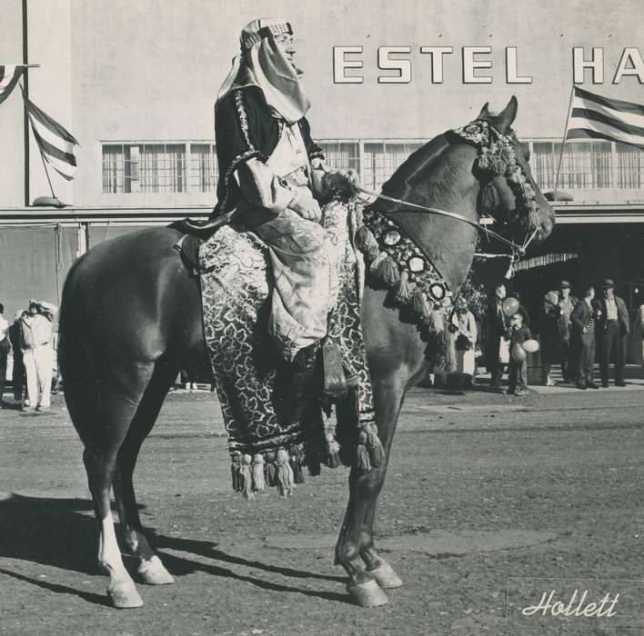 history, horse, Photos, cattle congress, Black Hawk, IA, ia, Animals, Fairs and Festivals, historic, United States, Grout Museum of History and Science, Waterloo, Iowa, national cattle congress