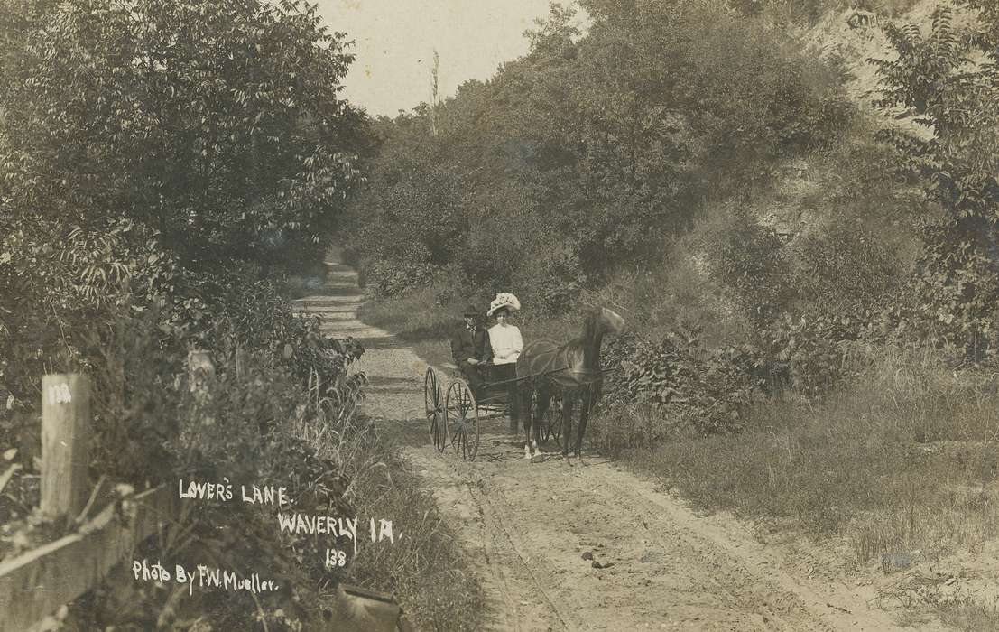 scenic, Leisure, history of Iowa, horse carriage, Iowa, Meyer, Sarah, dirt road, Waverly, IA, fedora, dress clothes, Portraits - Group, horse, Iowa History, correct date needed, Animals, large decorated hat