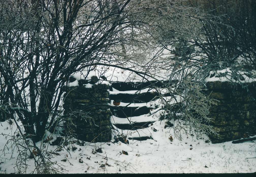 Landscapes, snow, forest, ruins, Harken, Nichole, Winter, Iowa History, history of Iowa, steps, Iowa
