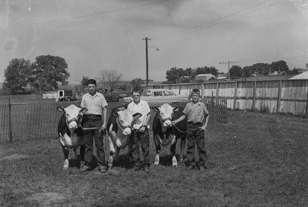 car, Portraits - Group, cows, Iowa, IA, United States, Photos, historic, Motorized Vehicles, Coon Rapids, Fairs and Festivals, history, Animals, boys, Coon Rapids Enterprise, ia, Children