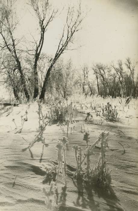 Winter, frost, Iowa History, King, Tom and Kay, snow, Landscapes, Iowa, history of Iowa, IA