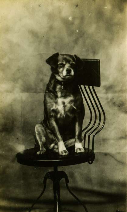 Animals, chair, dog, Iowa History, history of Iowa, Anamosa Library & Learning Center, Portraits - Individual, Anamosa, IA, Iowa