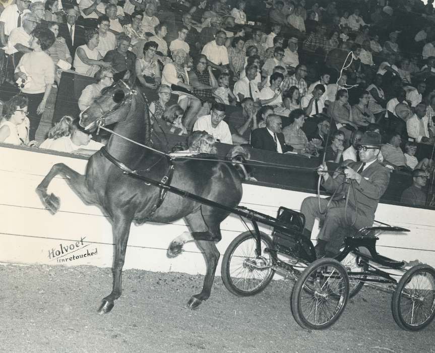 history, trotting, horse, Photos, cattle congress, Black Hawk, IA, ia, Animals, Fairs and Festivals, historic, United States, Grout Museum of History and Science, Waterloo, Iowa, national cattle congress