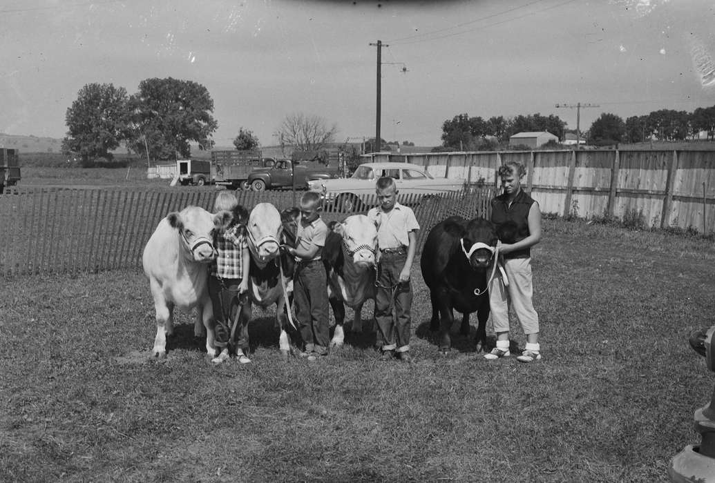 car, Portraits - Group, IA, historic, Motorized Vehicles, Coon Rapids, Fairs and Festivals, Animals, boys, cows, Iowa, United States, Photos, history, girl, ia, Coon Rapids Enterprise, Children
