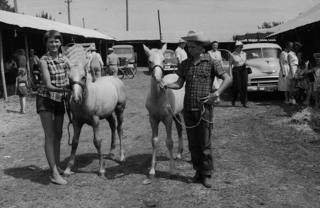 Portraits - Group, United States, history, ia, Photos, Coon Rapids Enterprise, Animals, historic, Iowa, IA, ponies, Coon Rapids