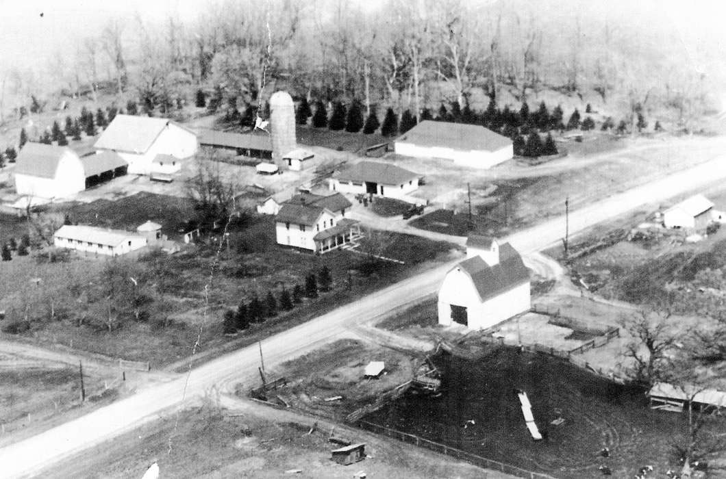 history of Iowa, Iowa History, Barns, silo, Scherrman, Pearl, farm, Iowa, Early, IA, Aerial Shots, Farms
