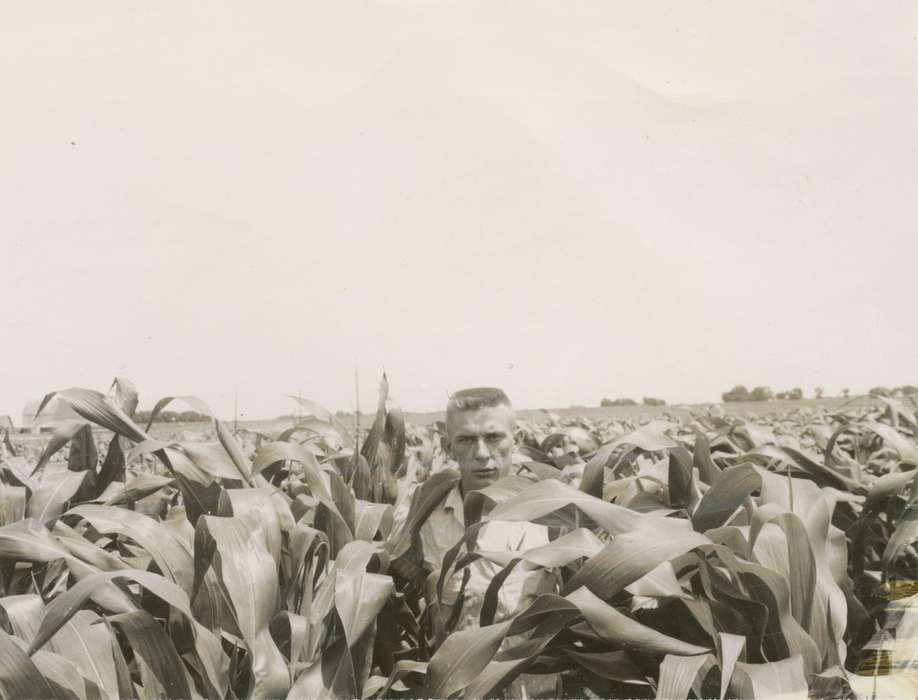 corn, hairstyle, Farms, Portraits - Individual, Iowa History, Iowa, cornfield, Clark, Paula, history of Iowa, crewcut, IA