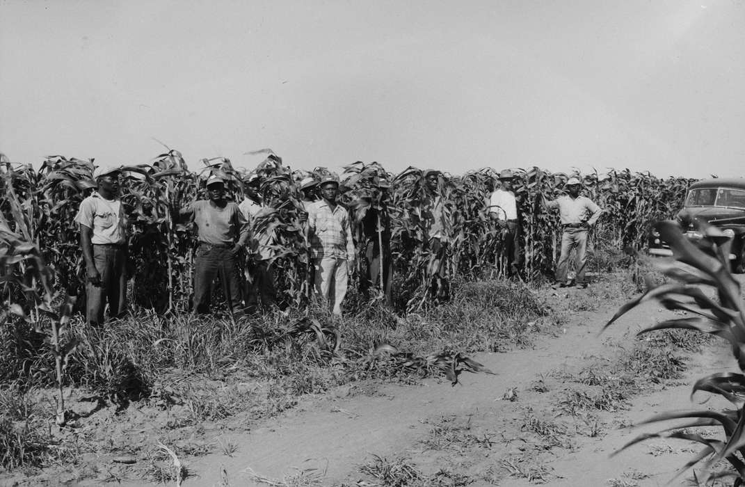 Portraits - Group, Iowa, IA, United States, Photos, detassling, Labor and Occupations, historic, Coon Rapids, Farms, history, ia, Coon Rapids Enterprise, People of Color, corn