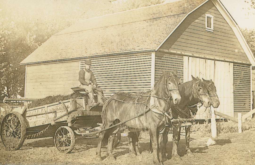 Portraits - Individual, Iowa, horse, Farming Equipment, Animals, Raymond, IA, farmer, wagon, Iowa History, history of Iowa, barn, Mountain, Carole, Farms, Barns