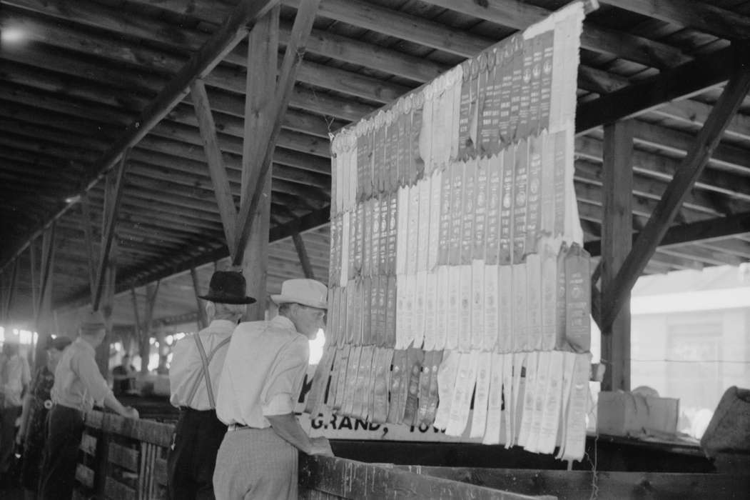 Fairs and Festivals, Barns, competition, Library of Congress, pen, pens, livestock, Iowa, Iowa History, hat, history of Iowa