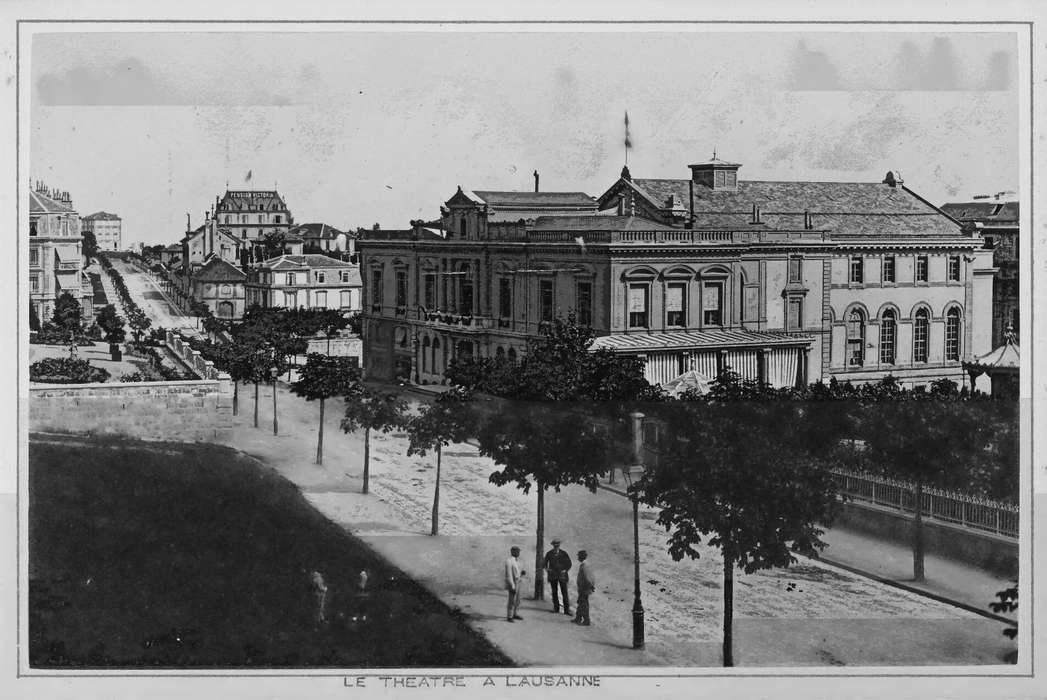 trees, Swiss National Library, street