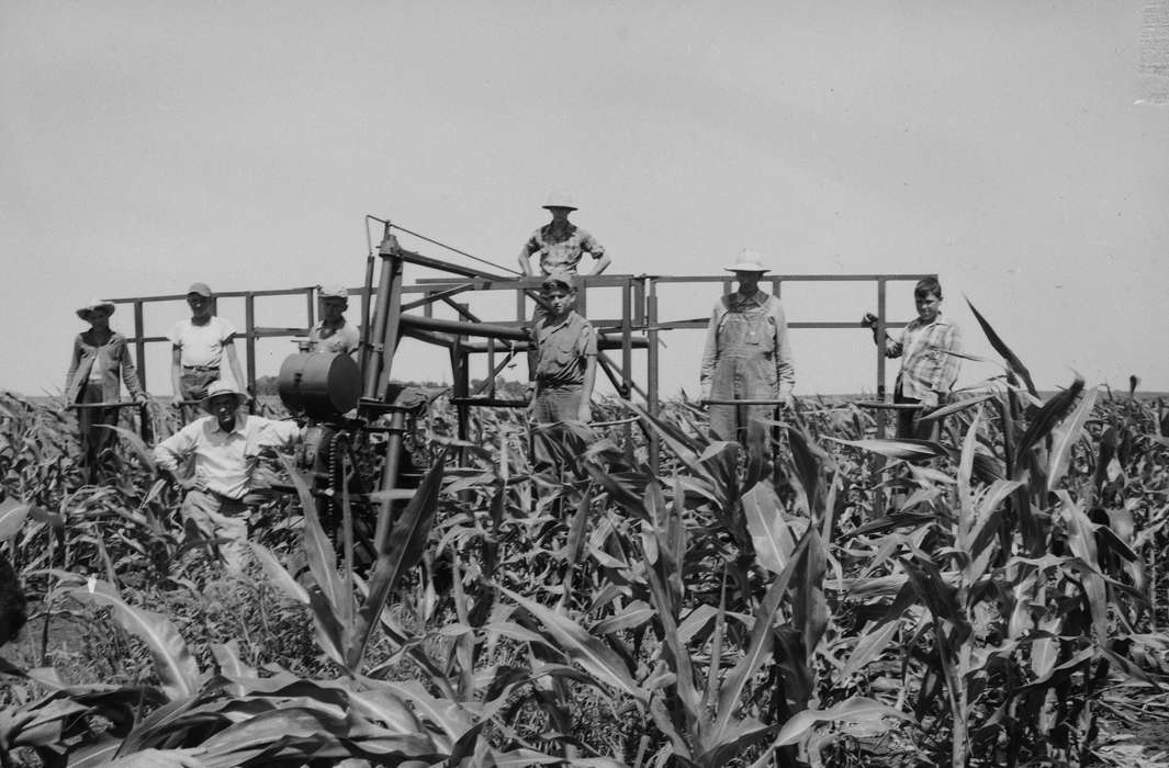 Portraits - Group, Iowa, IA, United States, Photos, detassling, Labor and Occupations, historic, Coon Rapids, Farms, history, ia, Coon Rapids Enterprise, Children, corn