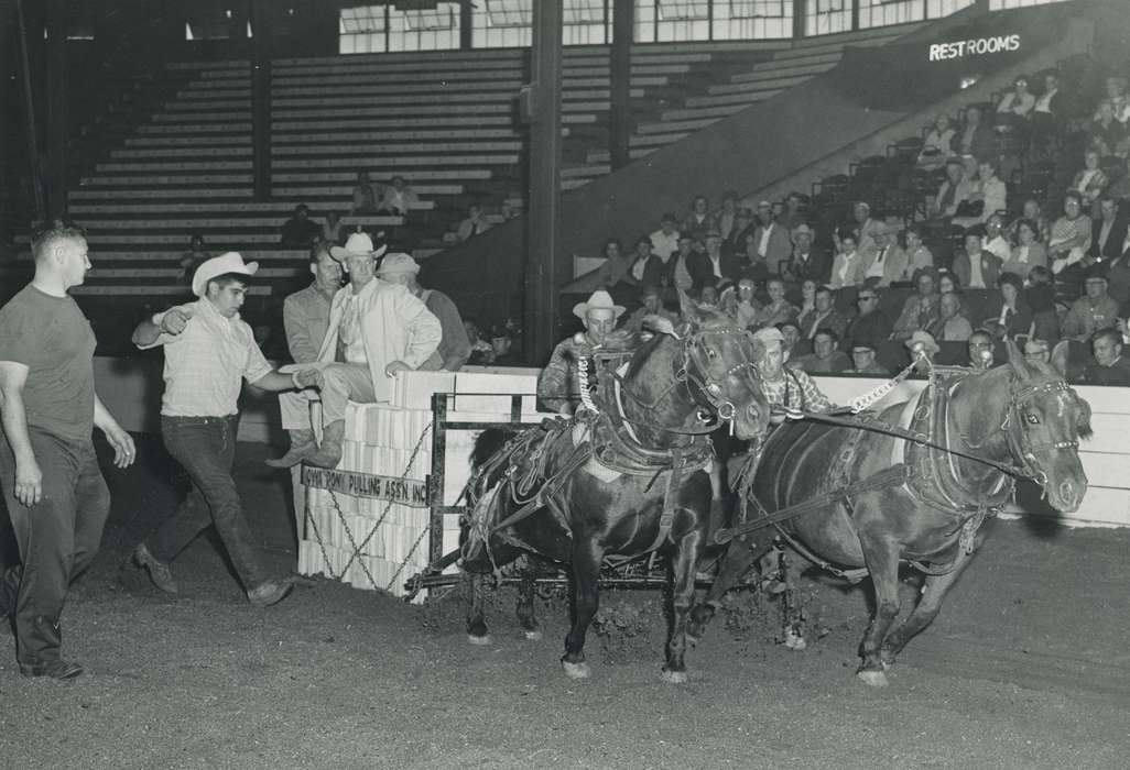 history, horse, Photos, cattle congress, horse pull, Black Hawk, IA, ia, Animals, Fairs and Festivals, historic, United States, Grout Museum of History and Science, Waterloo, Iowa, national cattle congress