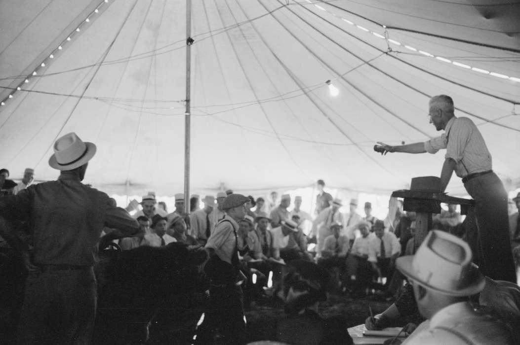 Animals, calf, Iowa History, tent, cow, history of Iowa, calves, Fairs and Festivals, Iowa, Library of Congress, livestock, auction