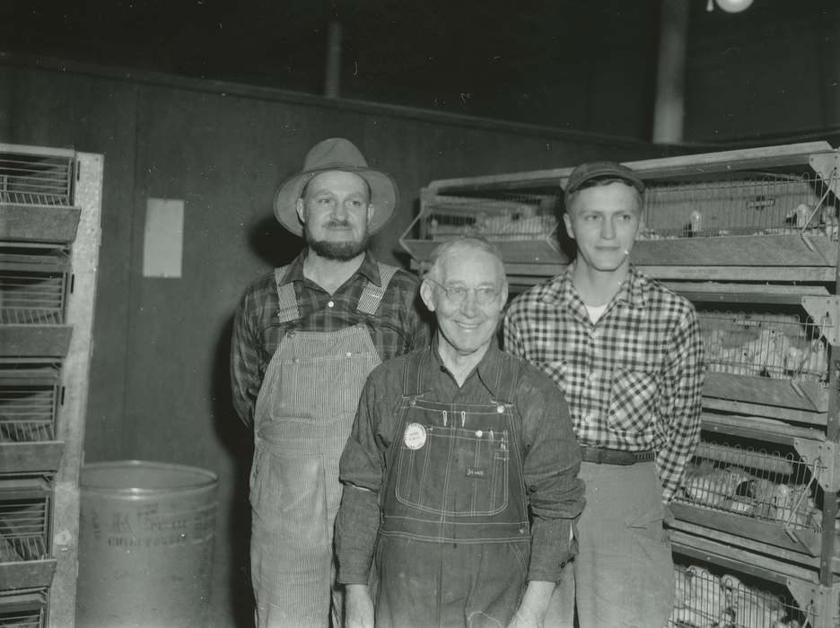 hatchery, group photo, Iowa, chicken coops, Iowa History, Waverly Public Library, Portraits - Group, Businesses and Factories, Labor and Occupations, history of Iowa