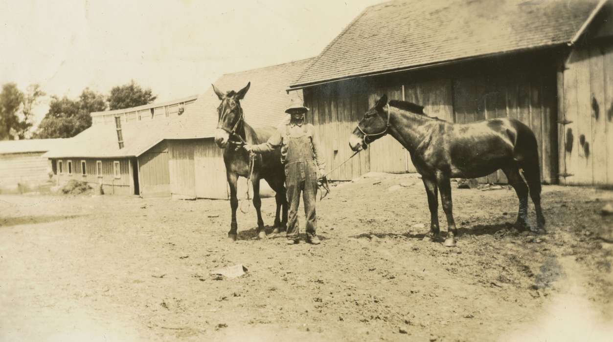 mule, overalls, farmer, barn, Farms, Barns, Portraits - Individual, history of Iowa, Iowa History, Animals, Mortenson, Jill, Macey, IA, Iowa