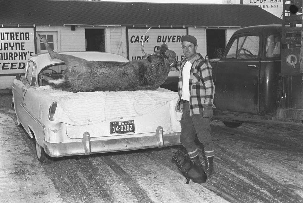 ia, Photos, United States, IA, Coon Rapids, Iowa, historic, history, Animals, Coon Rapids Enterprise