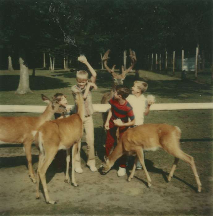 Patterson, Donna and Julie, Animals, Evansdale, IA, history of Iowa, Iowa, Children, deer, Iowa History, outside