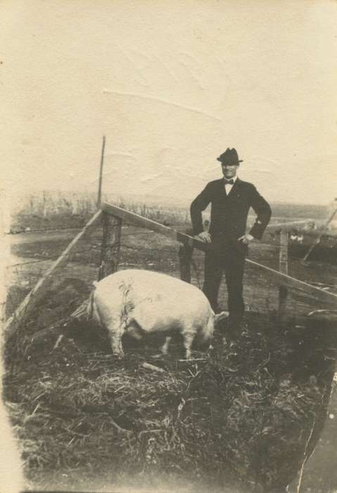 Portraits - Individual, Mortenson, Jill, Iowa History, history of Iowa, Animals, Farms, Macey, IA, barbed wire, Iowa, wooden fence, pig, hog