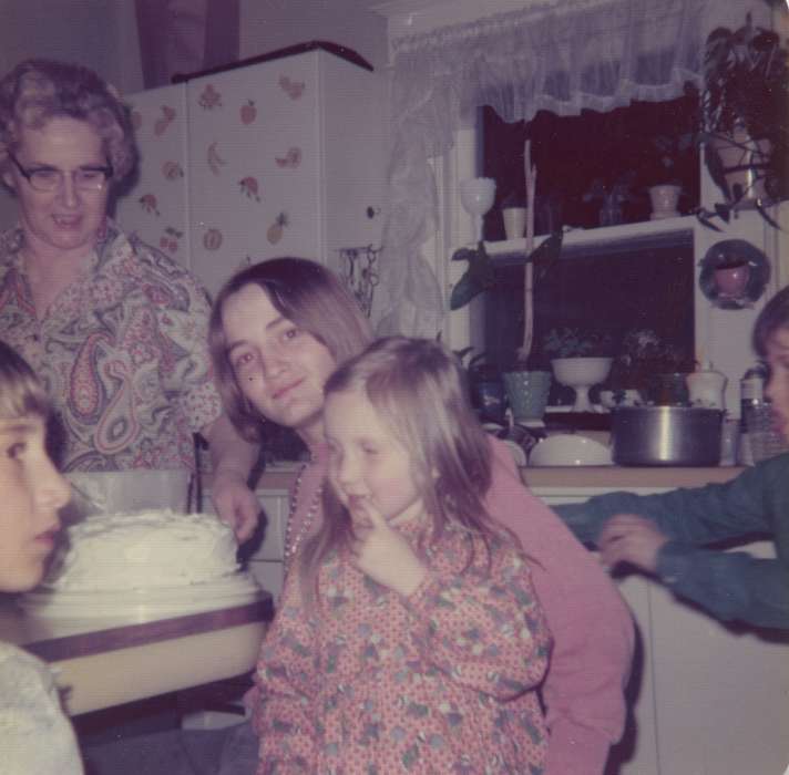 Meisenheimer, Brenda, siblings, Children, Homes, Families, Iowa History, birthday, kitchen, Iowa, IA, history of Iowa