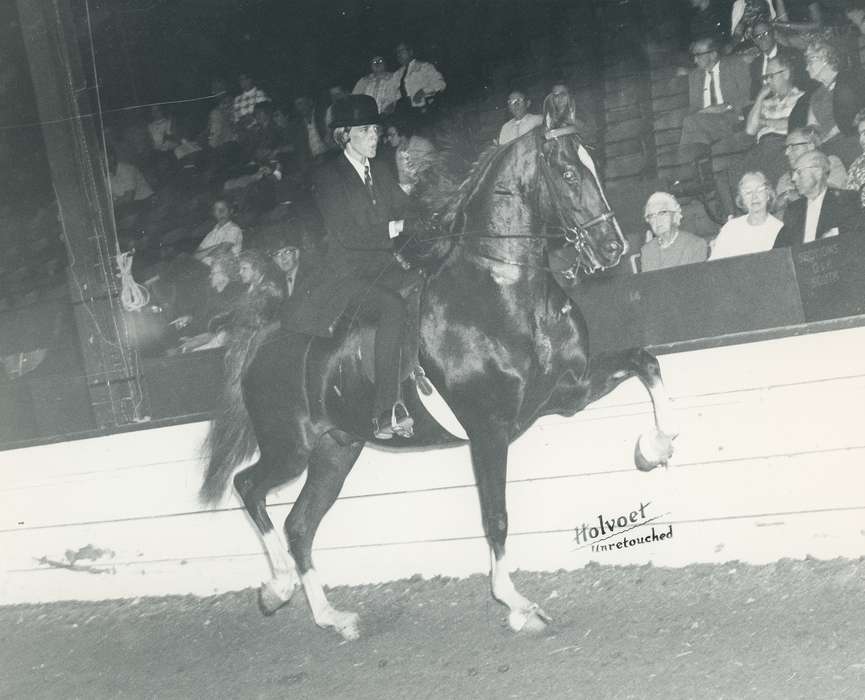 history, horse, Photos, cattle congress, Black Hawk, IA, ia, Animals, Fairs and Festivals, historic, United States, Grout Museum of History and Science, Waterloo, Iowa, national cattle congress