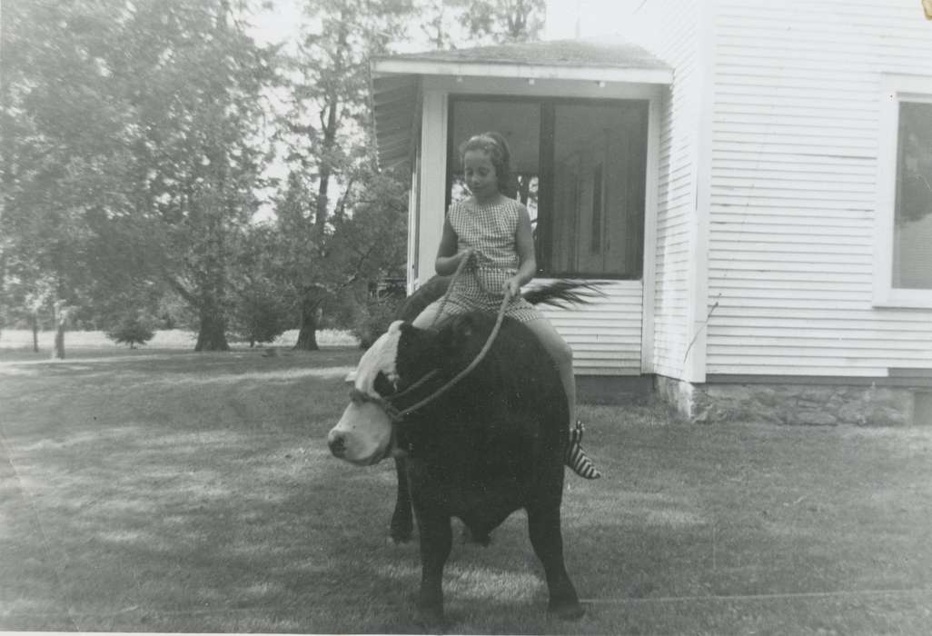 yard, Animals, Farms, bull, Mountain, Carole, Iowa History, Iowa, Waterloo, IA, history of Iowa, Children
