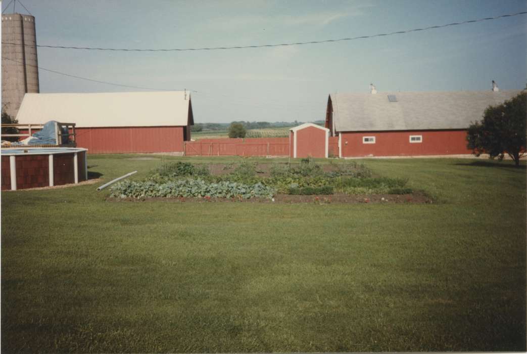 garden, Farms, swimming pool, pool, Barns, Iowa History, history of Iowa, Coggon, IA, Harken, Nichole, Iowa