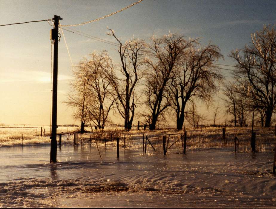 tree, ice, Strawberry Point, IA, Iowa History, telephone pole, Winter, Iowa, history of Iowa, Knivsland, Rick