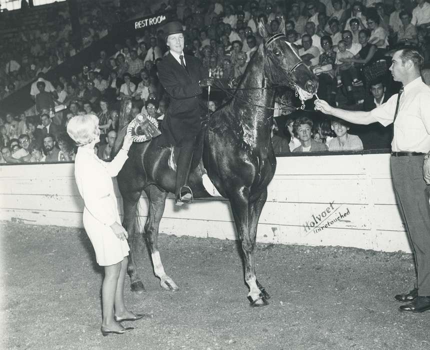 history, horse, Photos, cattle congress, Black Hawk, IA, ia, Animals, Fairs and Festivals, historic, United States, Grout Museum of History and Science, Waterloo, Iowa, national cattle congress